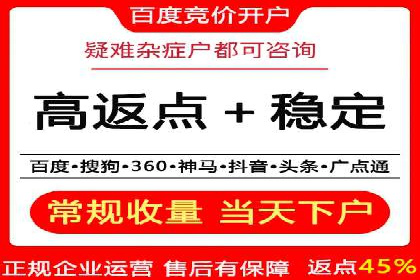 搜索引擎竞价推广：某行业领先企业的成功之路